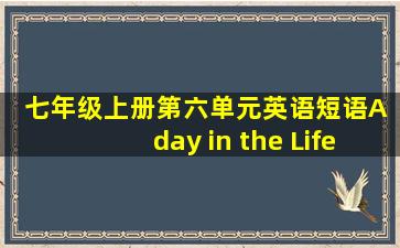 七年级上册第六单元英语短语A day in the Life